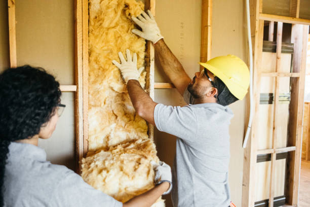 Best Insulation for New Construction  in Mount Carmel, TN